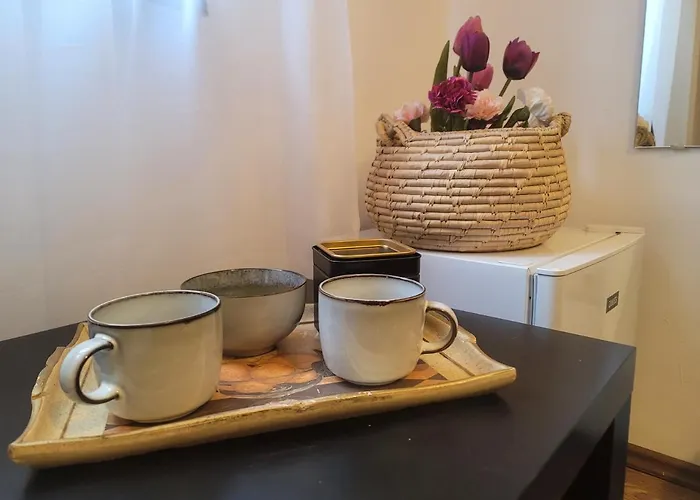 Appartement met een Slaapkamer