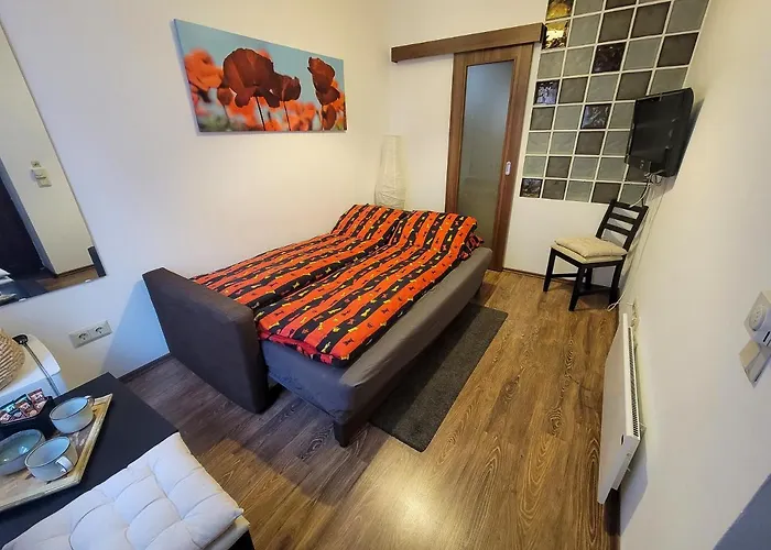 Appartement met een Slaapkamer