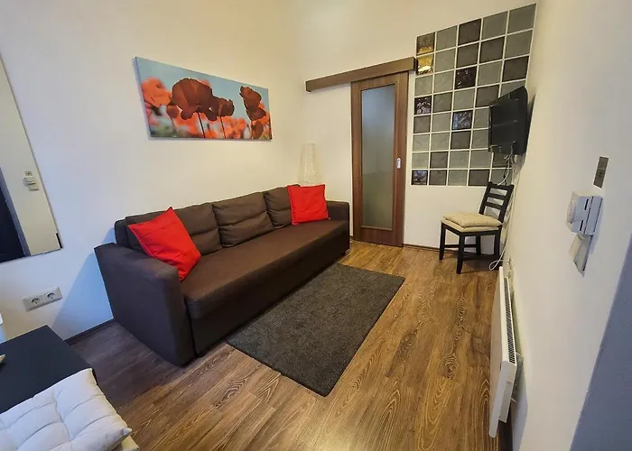 Appartement met een Slaapkamer